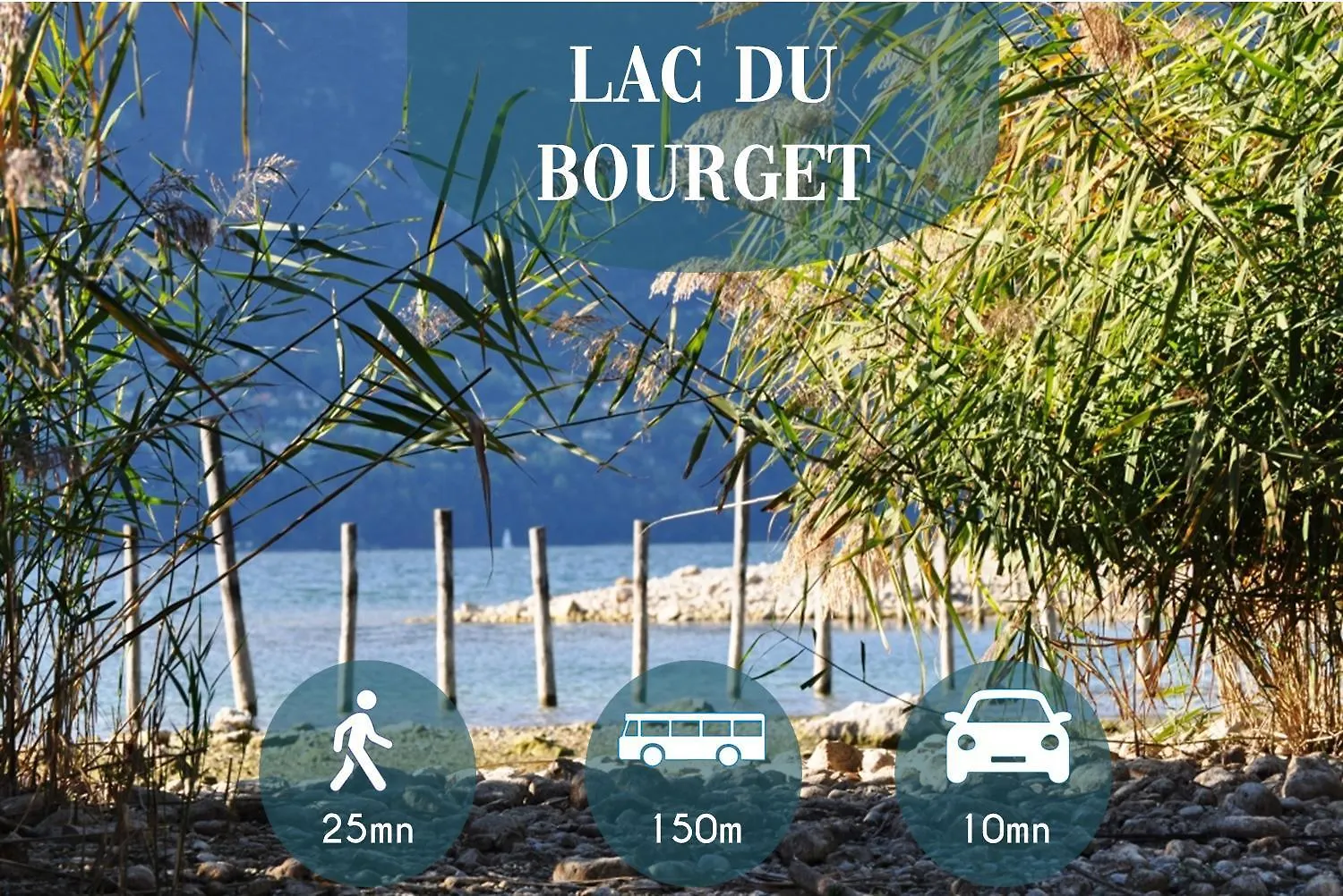 Appartements Epicurieux Hyper Centre Ville, Calme - Sejouraixlesbains location